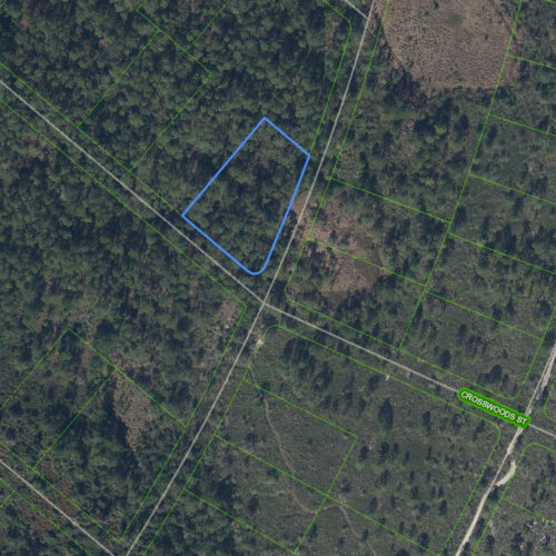1266 Crosswoods Street, Lake Placid, Florida 33852