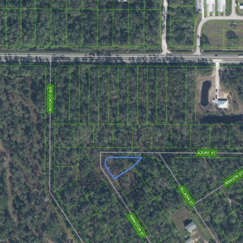 2124 Abington Street, Sebring, Florida 33875