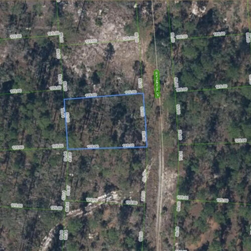 264 Sentimental Drive, Lake Placid, Florida 33852