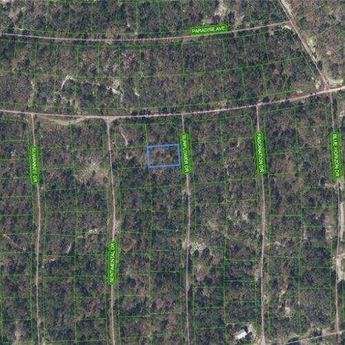 272 Sun Flower Drive, Lake Placid, Florida 33852