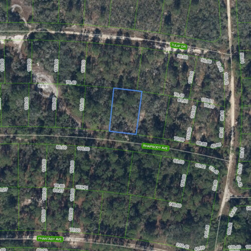 280 Rhapsody Avenue, Lake Placid, Florida 33852
