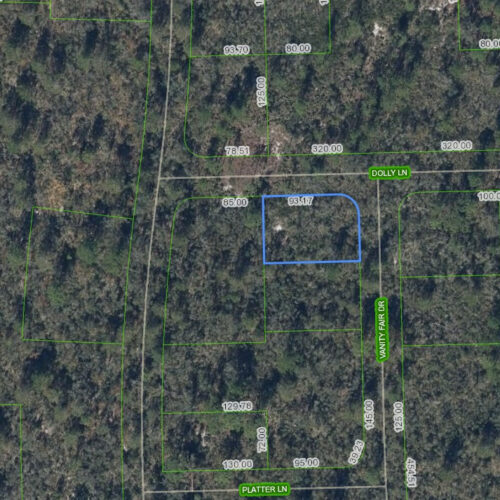 305 Dolly Lane, Lake Placid, Florida 33852
