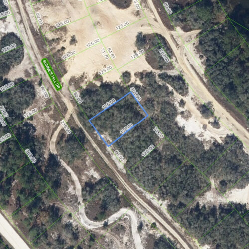 317 Summer Hill Drive, Lake Placid, Florida 33852