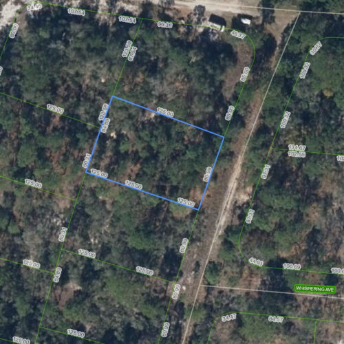 332 Sunnyside Drive, Lake Placid, Florida 33852