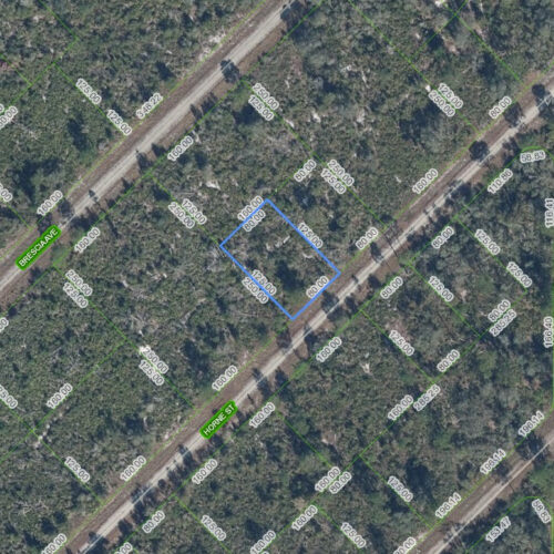 3517 Horne Street, Lake Placid, FL 33852