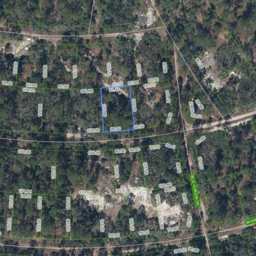 358 Cartier Avenue, Lake Placid, Florida 33852
