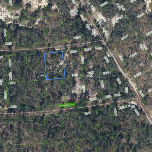 357 Whispering Avenue, Lake Placid, Florida 33852