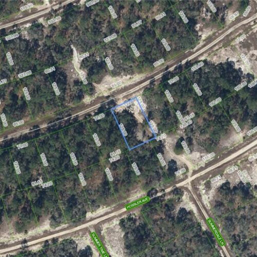 393 Stardust Avenue, Lake Placid, Florida 33852