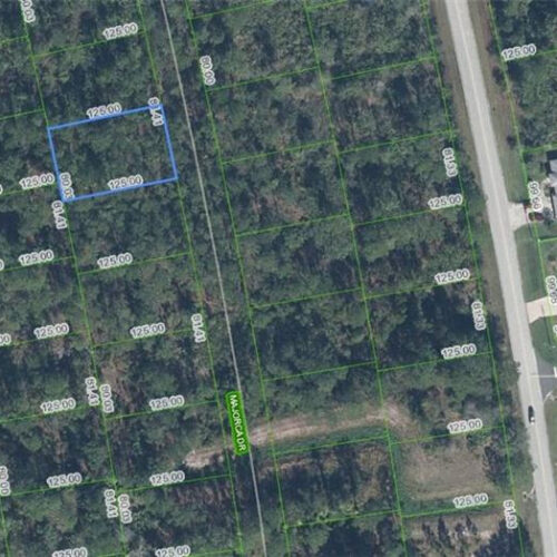 4425 Majorca Drive, Sebring, Florida 33872