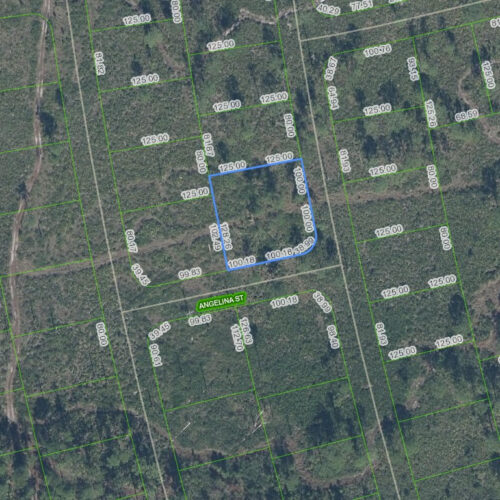 4703 San Pedro Drive, Sebring, Florida 33872
