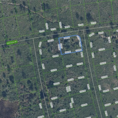 4739 Obispo Avenue, Sebring, Florida 33872