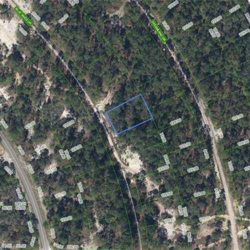 497 Blue Skies Drive, Lake Placid, Florida 33852