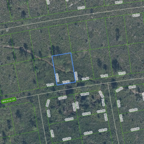 5008 Corsica Drive, Sebring, Florida 33872