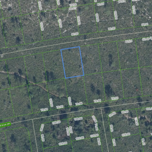 5032 Corsica Drive, Sebring, Florida 33872