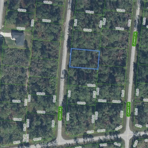 5032 Manati Avenue, Sebring, Florida 33872