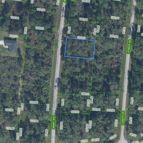 5102 Manati Avenue, Sebring, Florida 33872