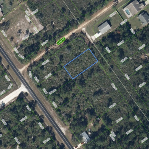570 Bottlebrush Avenue, Lake Placid, Florida 33852