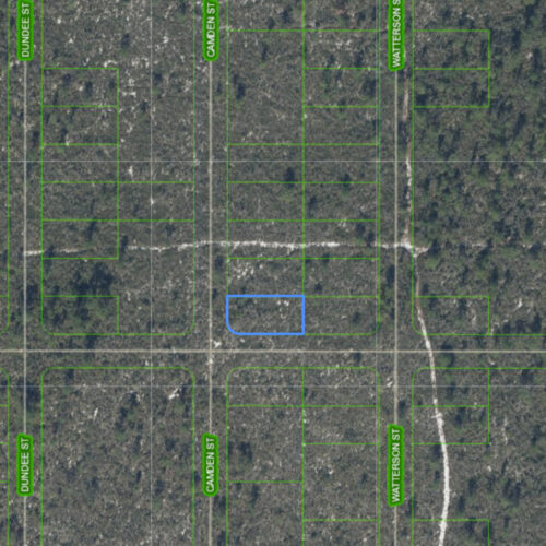 701 Camden Street, Lake Placid, Florida 33852