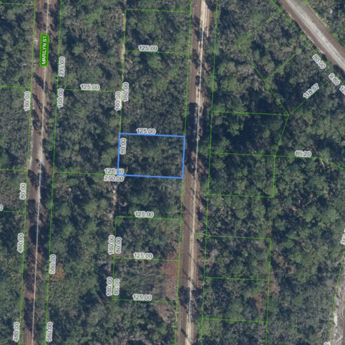 718 Neale Street, Lake Placid, Florida 33852