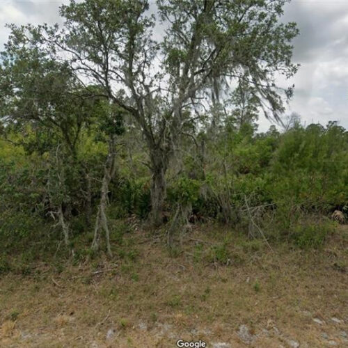 8005 Campo Sano Street, Sebring, Florida 33872