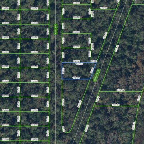 927 Kirby Avenue, Lake Placid, Florida 33852