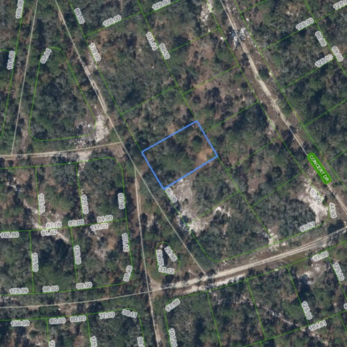 379 Blue Horizon Drive, Lake Placid, Florida 33852