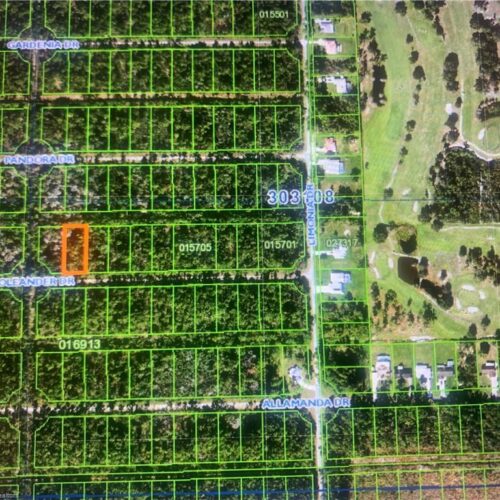 222 Oleander Drive, Lake Wales, Florida 33898