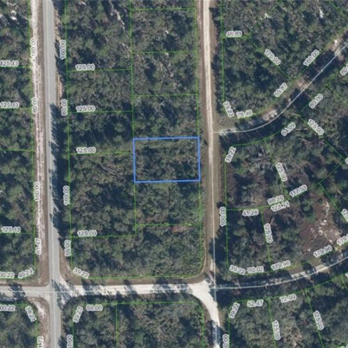 1001 Little Court, Sebring, Florida 33876