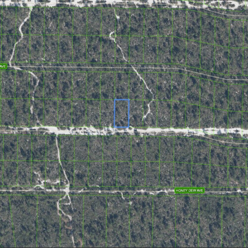 2204 Iris Avenue, Sebring, Florida 33875