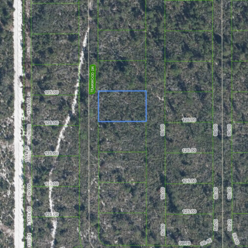 3288 Teakwood Drive, Sebring, Florida 33875