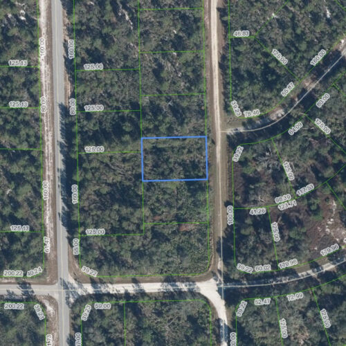 3292 Gossamer Avenue, Lake Placid, Florida 33852