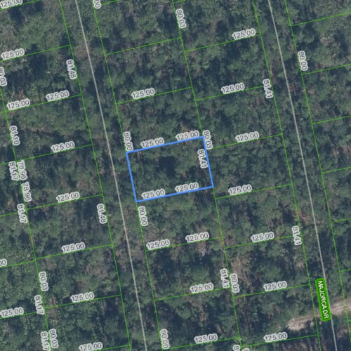 4410 Obispo Avenue, Sebring, Florida 33872